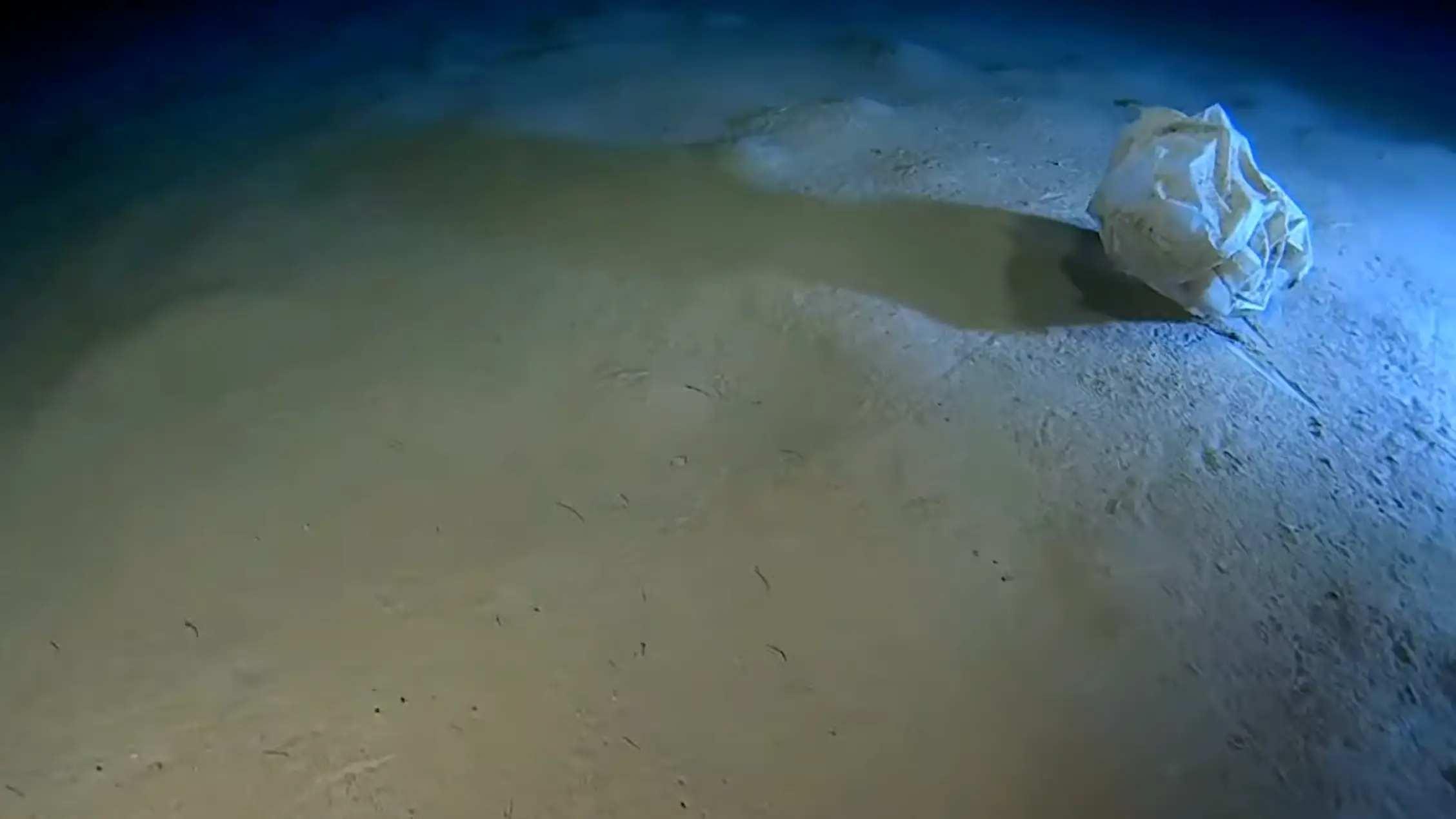 Marine Pollution Bulletin