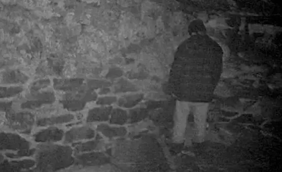 The film is a horror classic (Lionsgate)