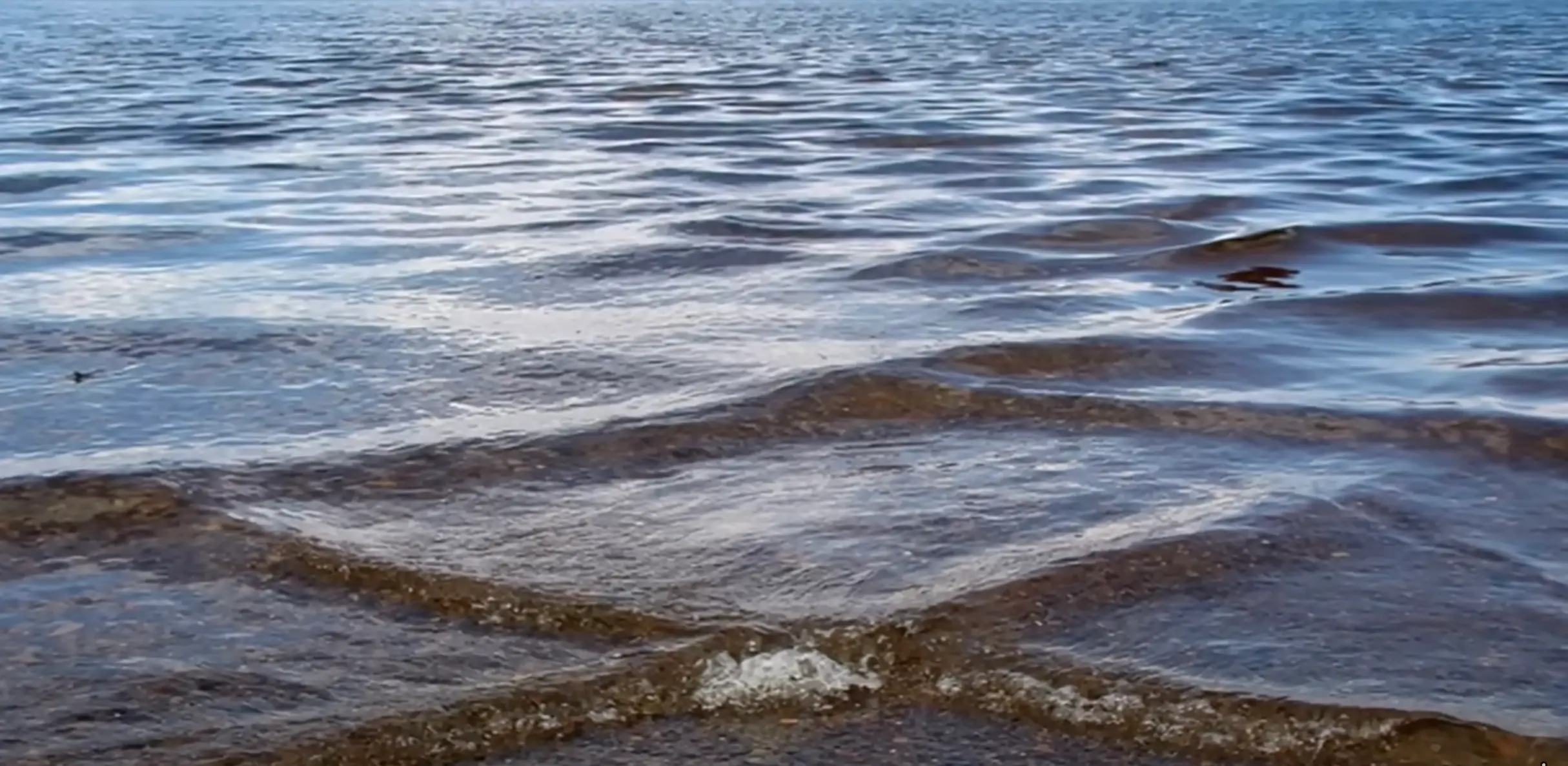 Experts urged people to immediately exit the water if they spot the chessboard-like pattern forming (YouTube/Facts Verse)