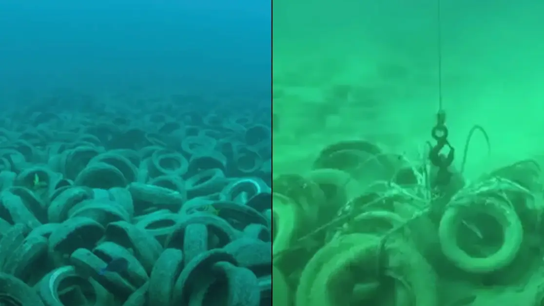 Shocking results dumping two million tyres into the ocean in eerie experiment had 50 years later