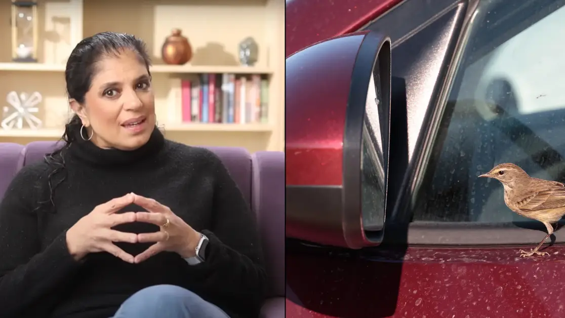 Youtube/DoctorRamani/Getty Stock Photo