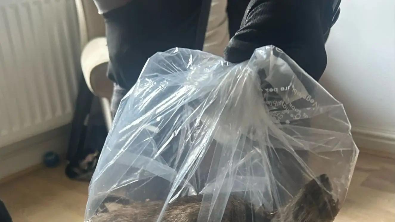 Councillors Paul McInnes, Paul Salvin and Curt Pugh/Facebook