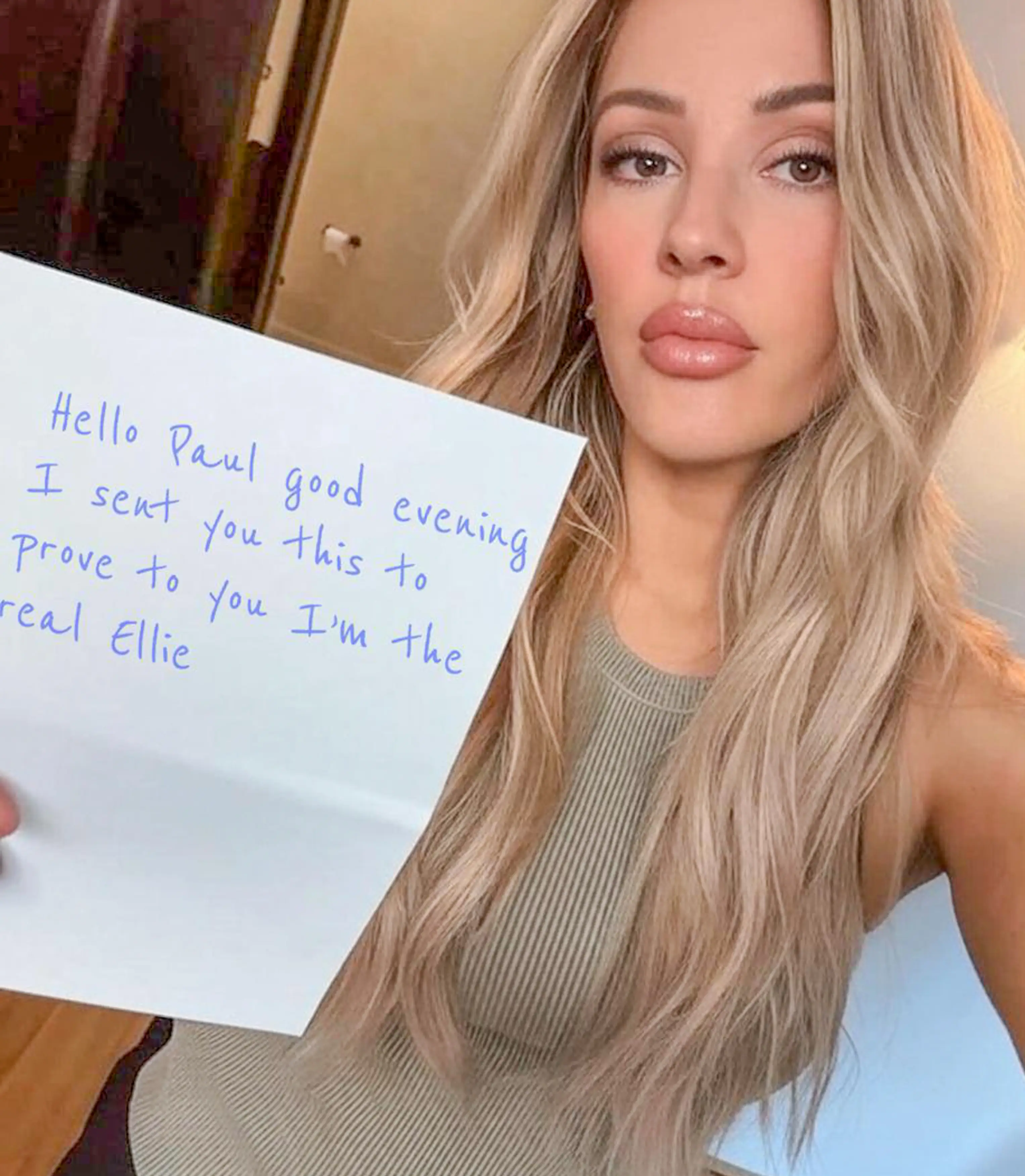 Paul was also the target of scams involving other AI-generated images of celebs, such as this one of Ellie Goulding (Solent News)