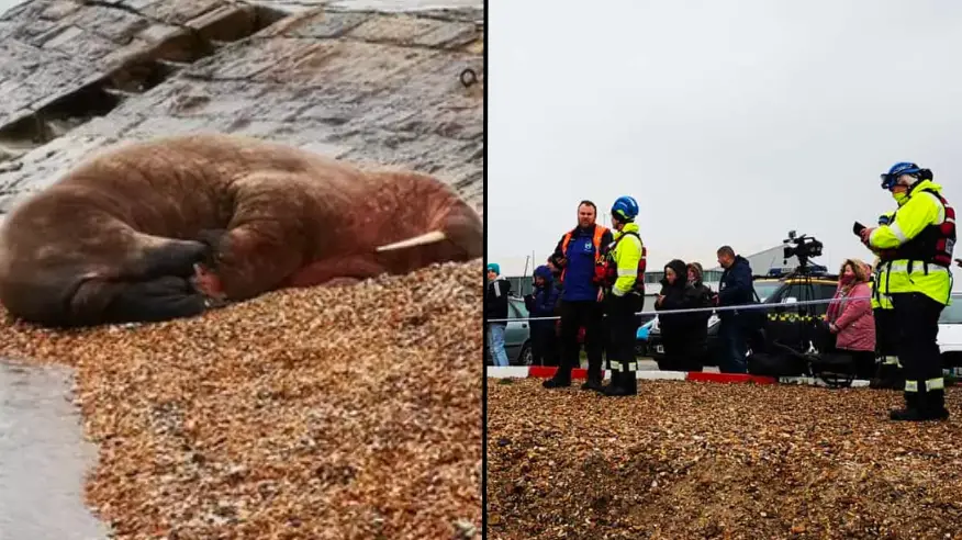 Steve Blanchard/BDMLR