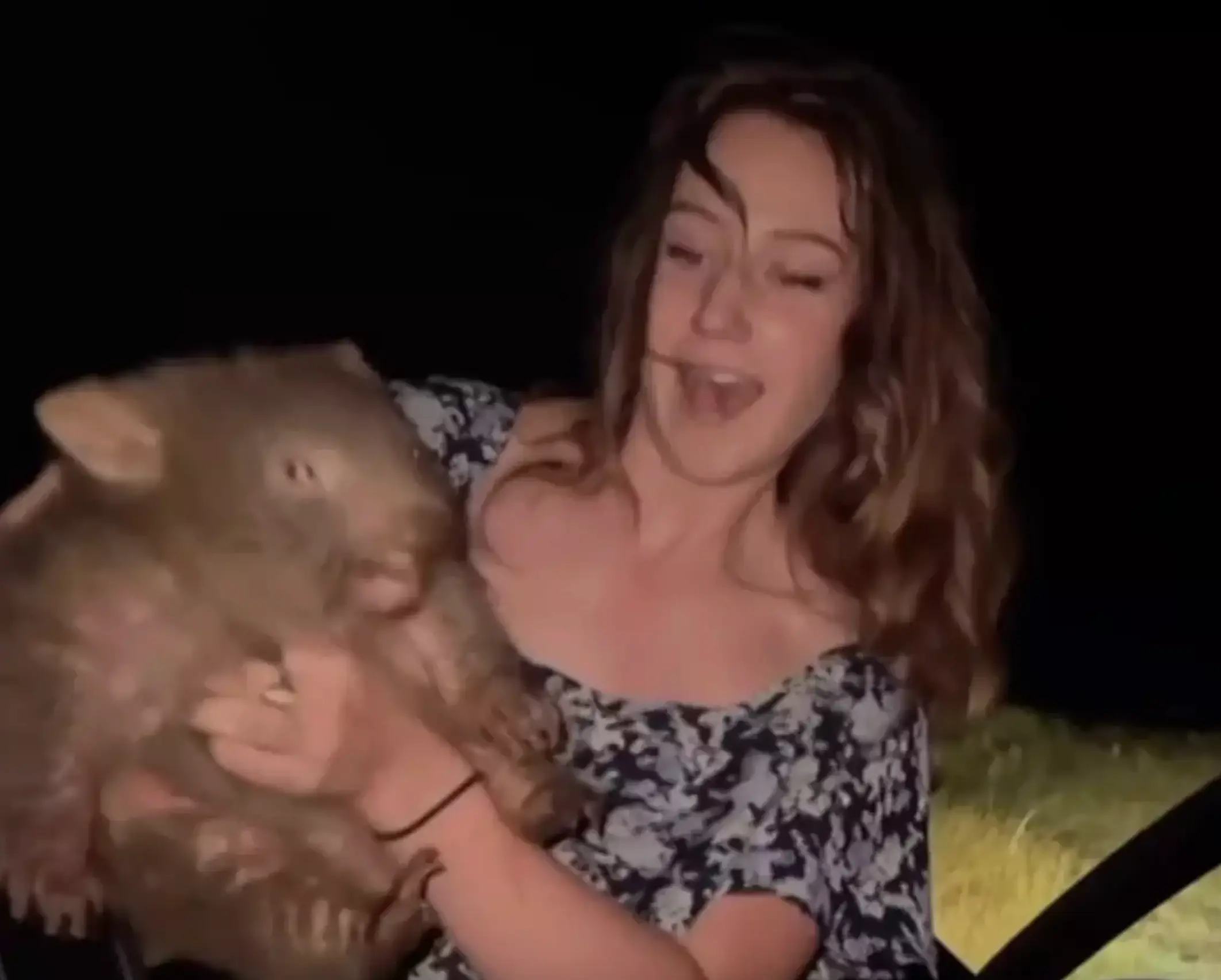 The influencer could be facing jail time for her actions (Instagram/samstrays_somewhere)