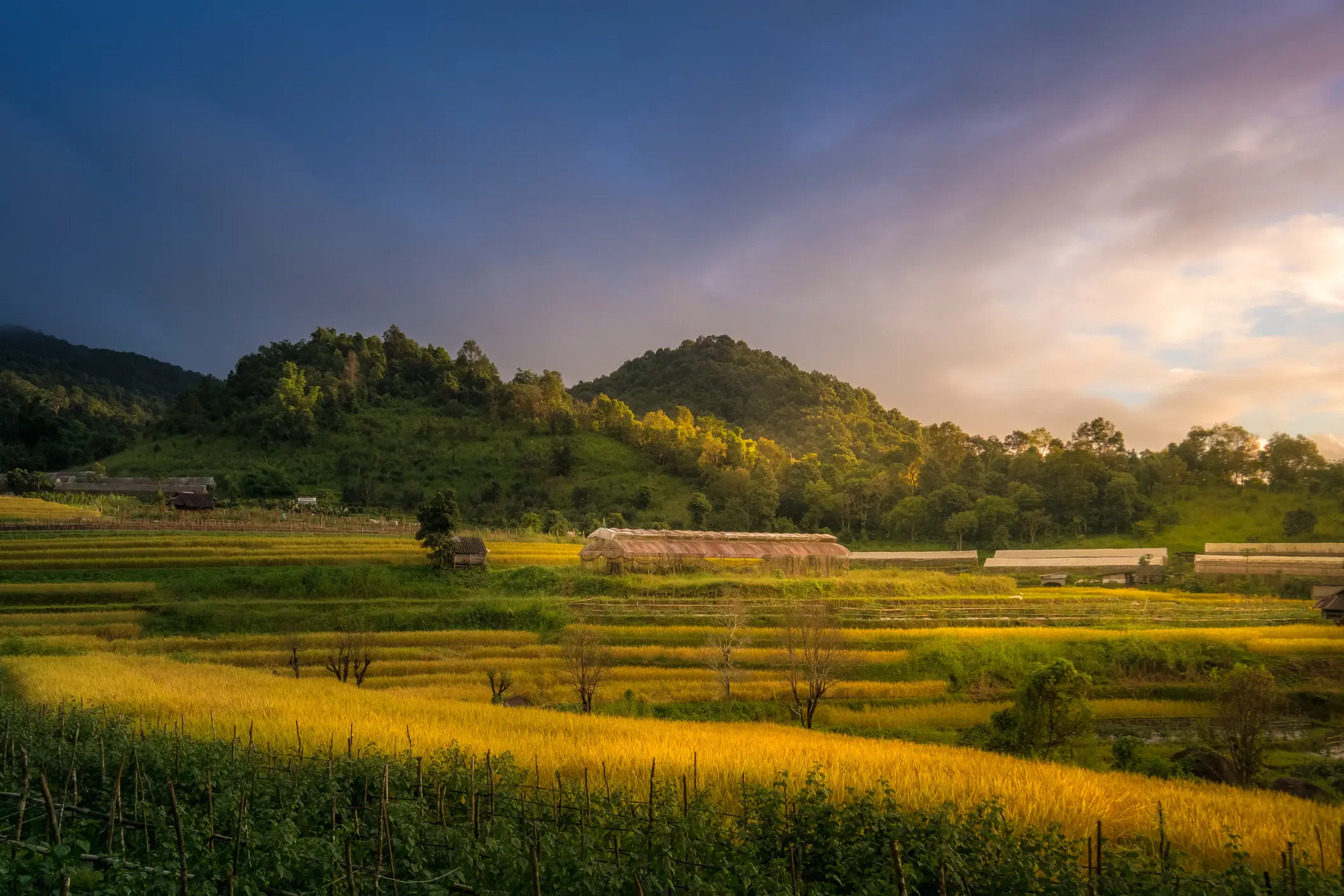Villages of refugees in Thailand's Mae Hong Son district have caused controversy (Getty Stock Image)
