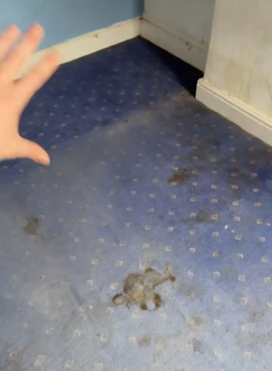 Angry Ginge took fans on a tour of his former bedroom where he shot to fame (TikTok/@angryginge13)