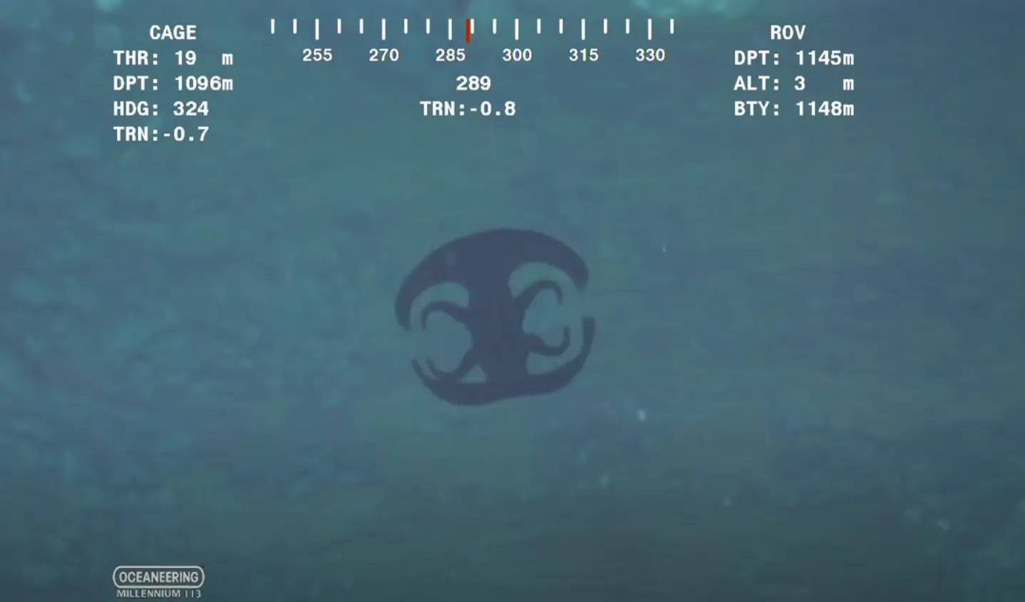 What the creature looked like at the beginning of the clip.