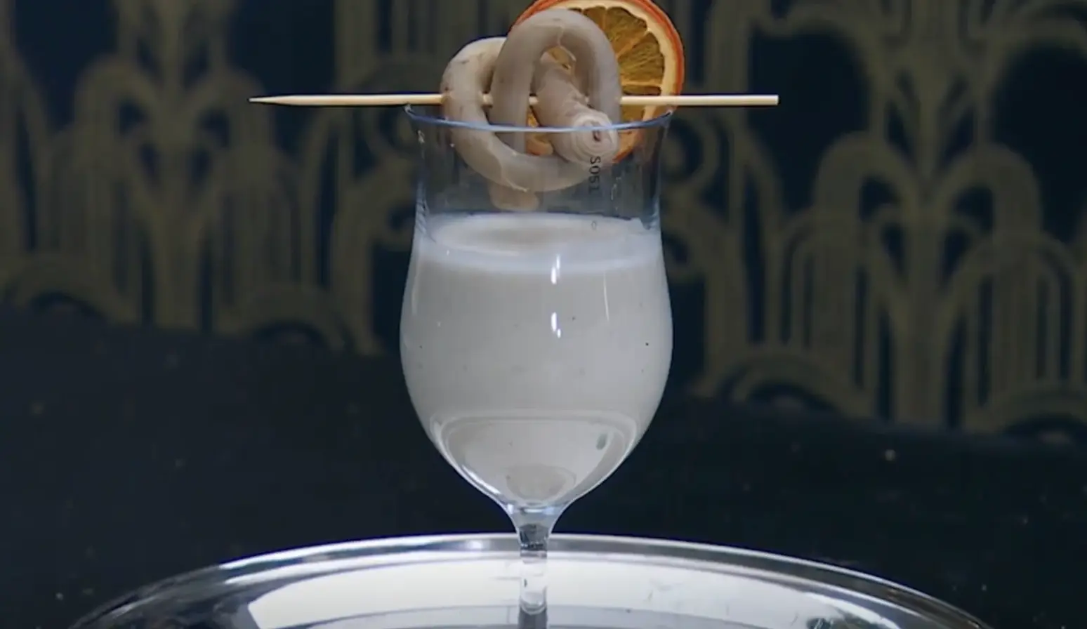 The blended pigs penis was presented nicely, at least!