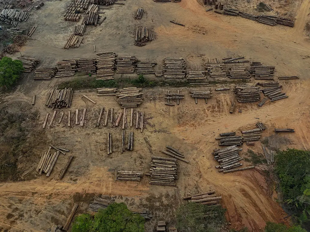 Deforestation of the Amazon rainforest is having a major impact on our environment (Photo by MICHAEL DANTAS / AFP via Getty Images)