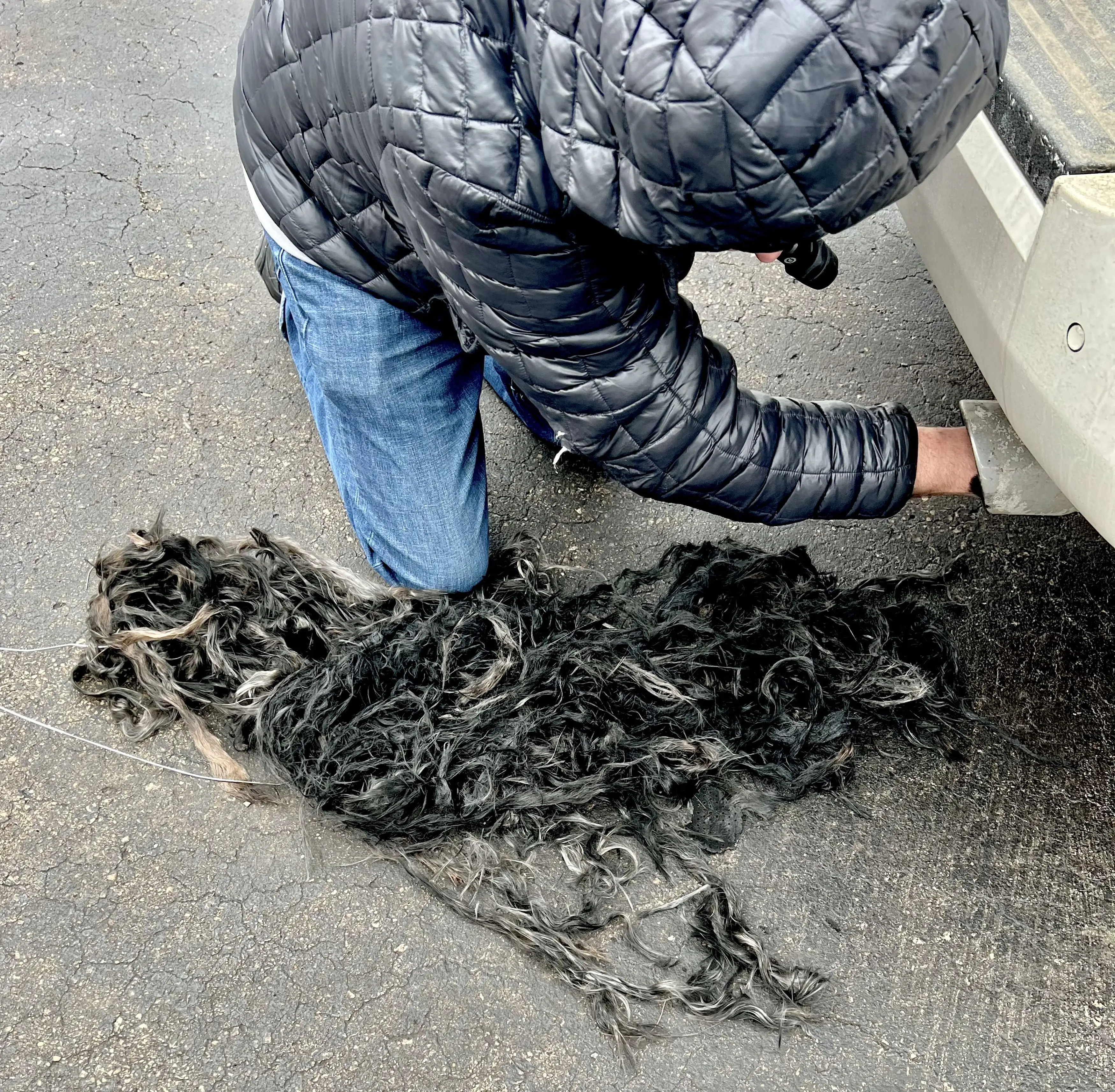 Kennedy News and Media