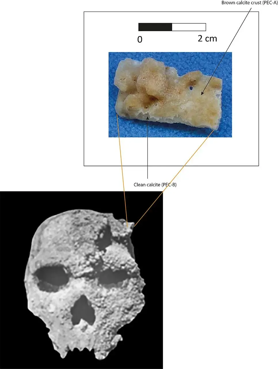 They used U-series to date the skull. (Falguères et al., Journal of Human Evolution 2025)