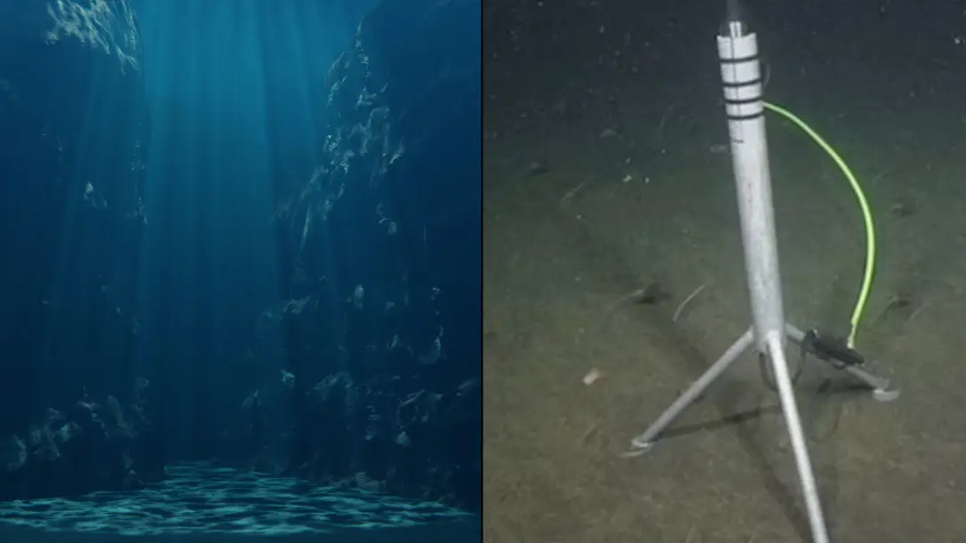 Getty stock / 2016 MBARI