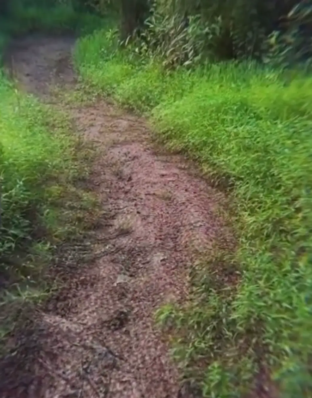 Most people agreed that the clip was a scarily accurate depiction of an LSD trip (Reddit)