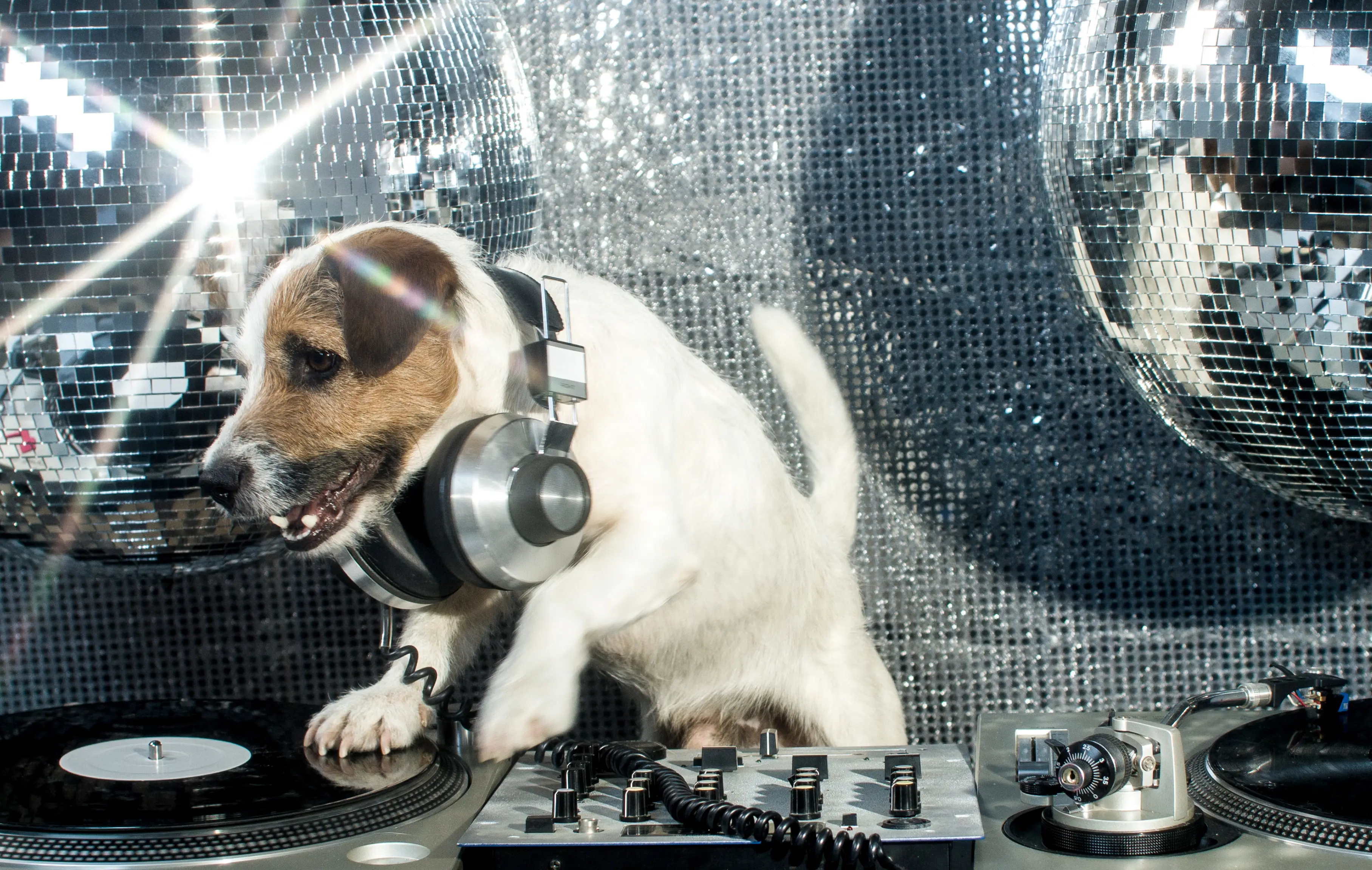 "And that was 'Air on G String' by Johann Sebastian Bach. People always tell me I have a great Bach." (Getty Stock Photo)