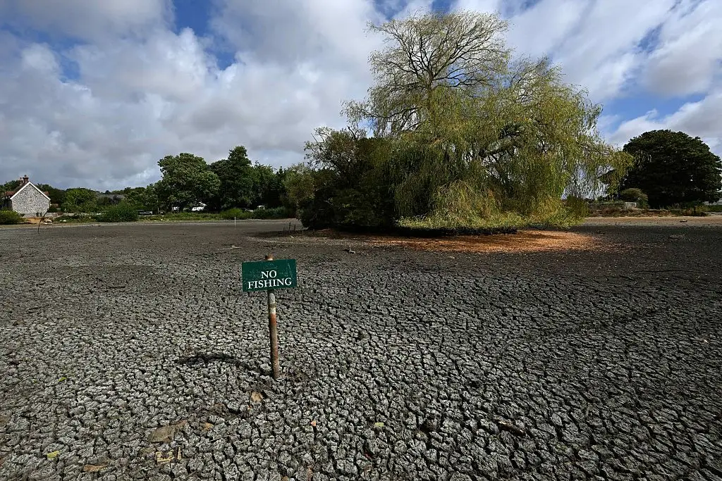 She was right about the climate change (GLYN KIRK / AFP via Getty Images)