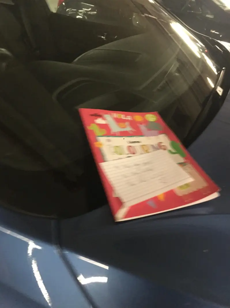 The act of revenge has been described as 'petty'.