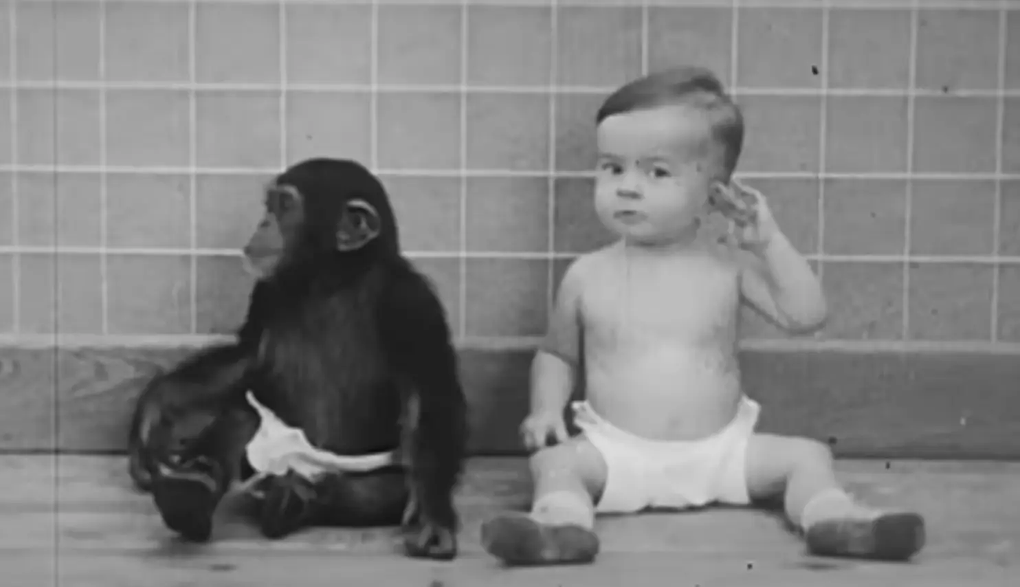 The psychologist carried out a comparative study of the two (YouTube/A/V Geeks 16mm Films)