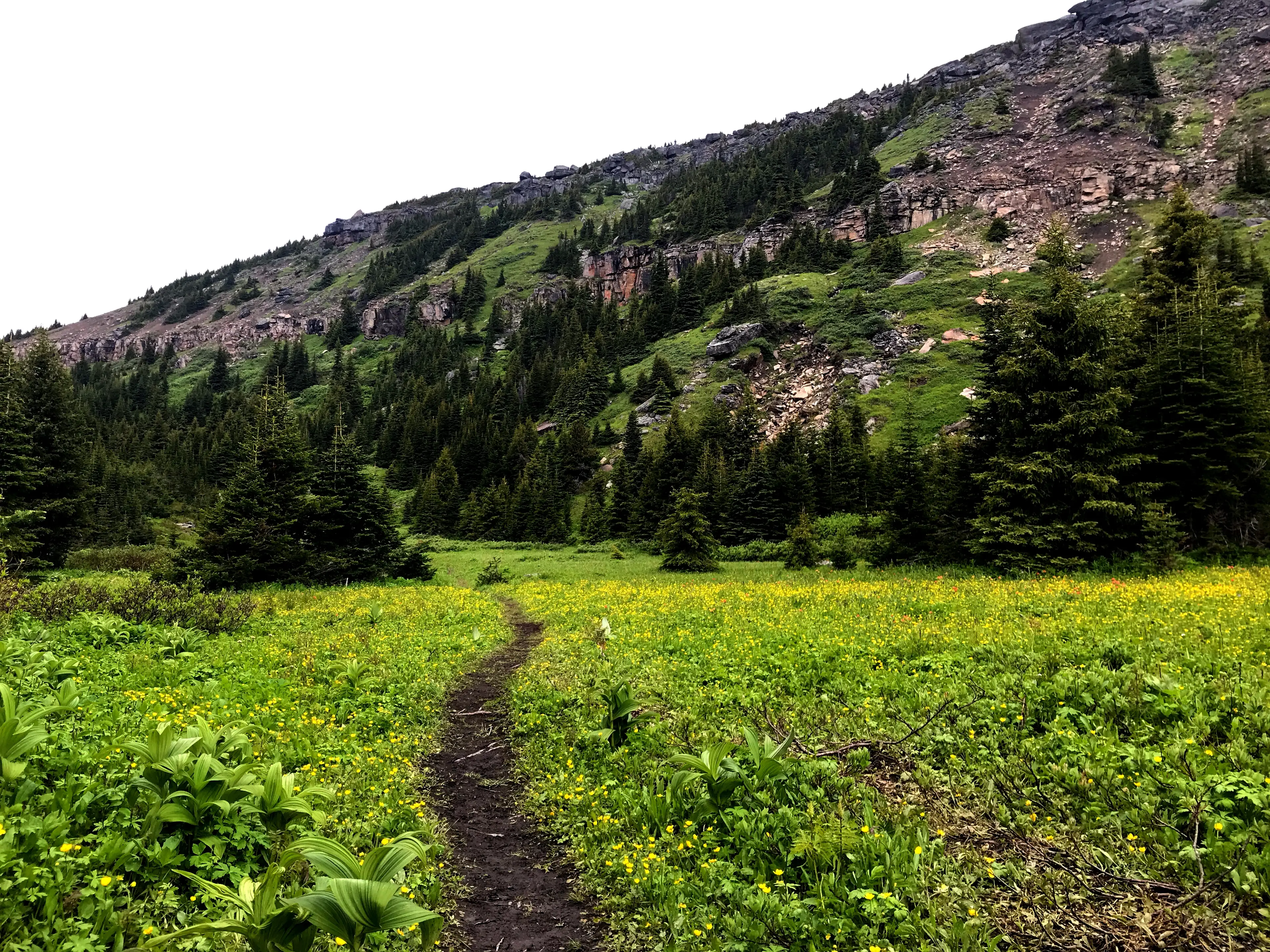 Tumbler Ridge is a small town in rural Canada (Getty Stock Image)