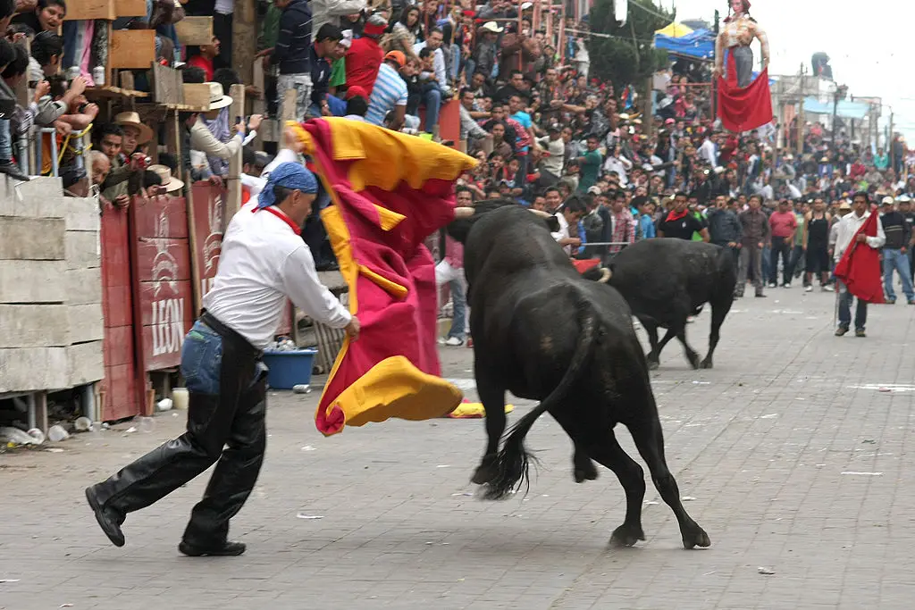 A man faces a bull during the annual event (J. Guadalupe PEREZ/AFP/GettyImages)
