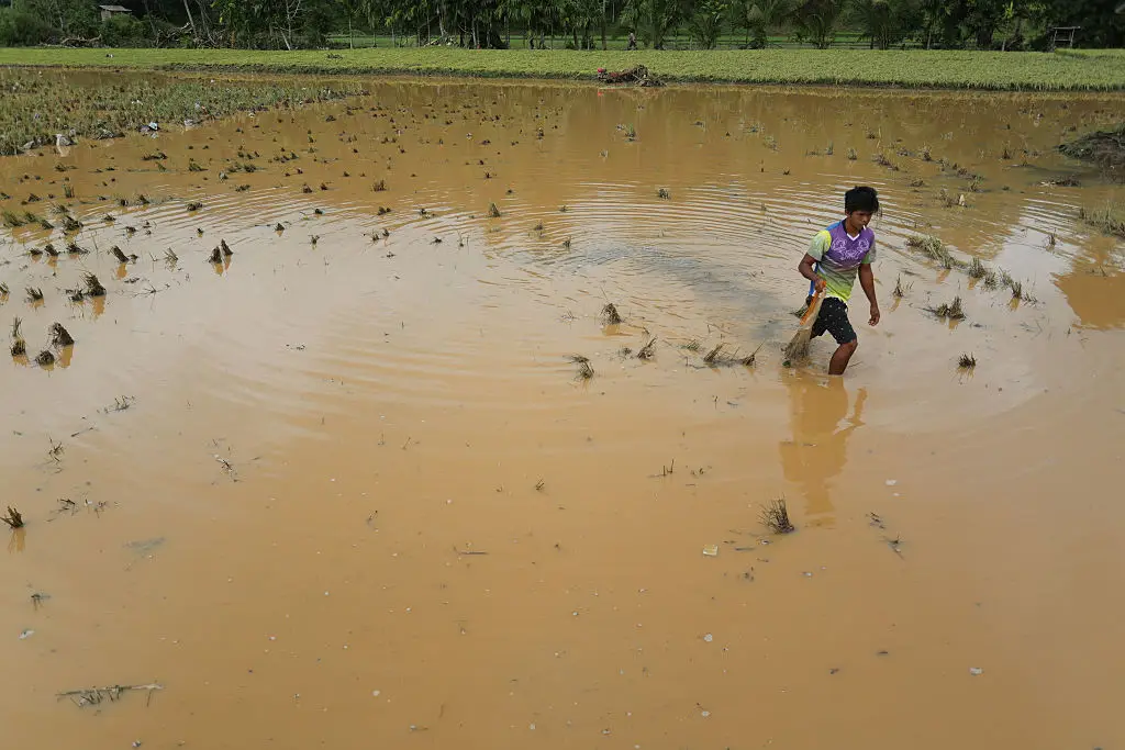 Areas in South America could see flooding (Adi Prima/Anadolu via Getty Images)