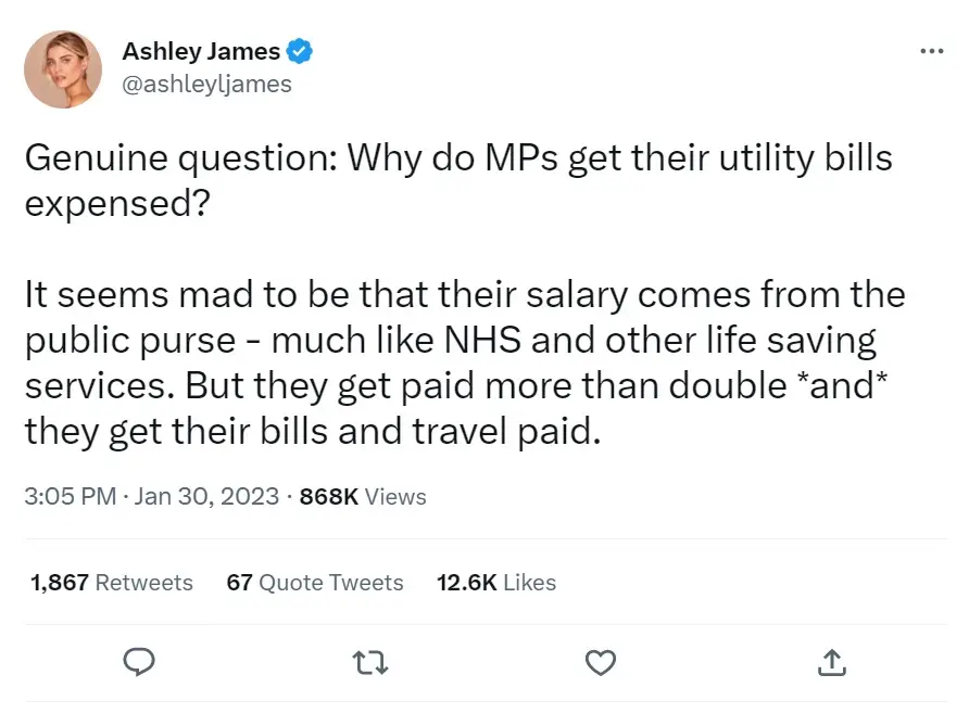 Ashley James wondered why MPs got to put their utility bills on expenses.