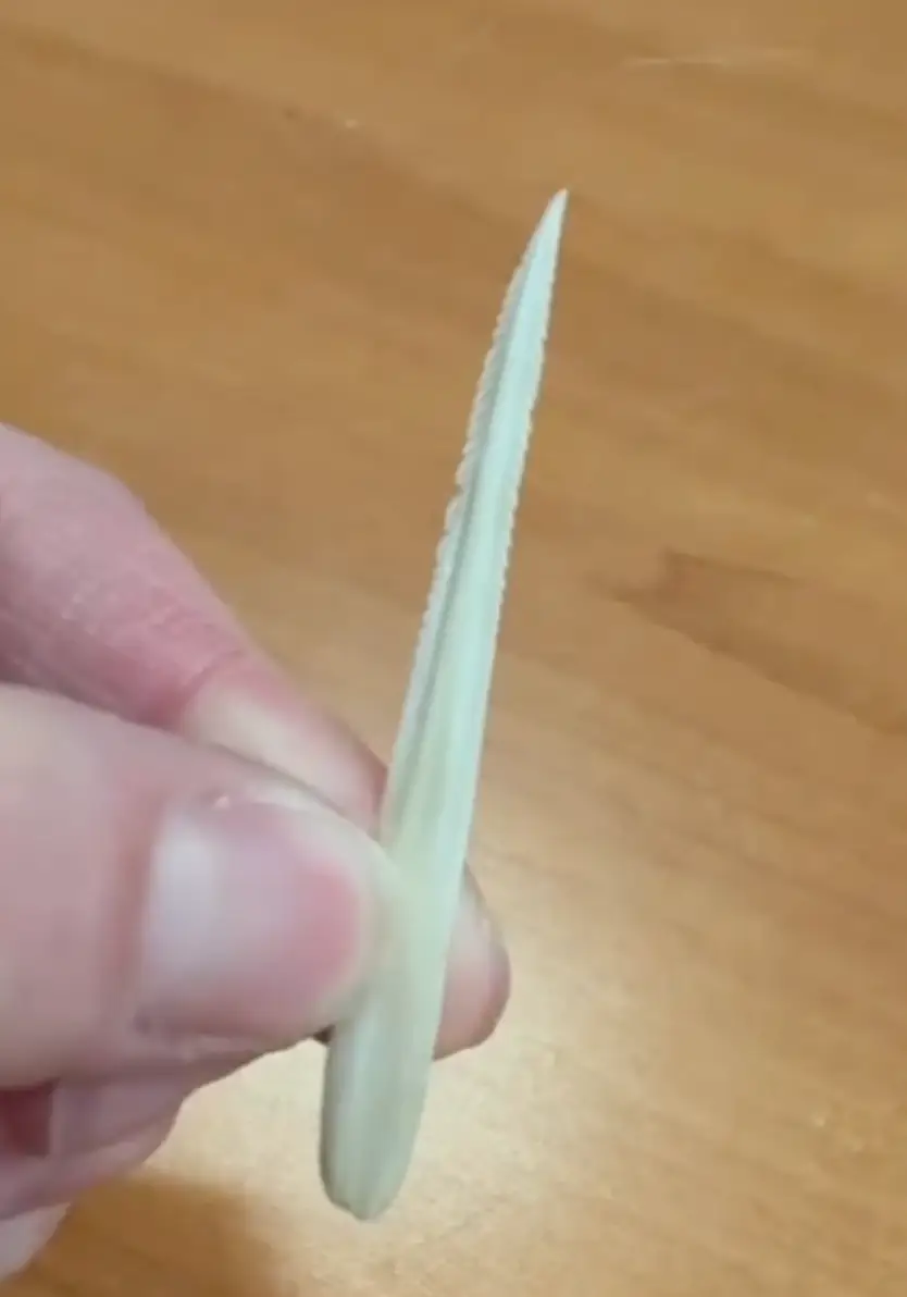 The stingray has dropped her barb. (Instagram/@teamecco)