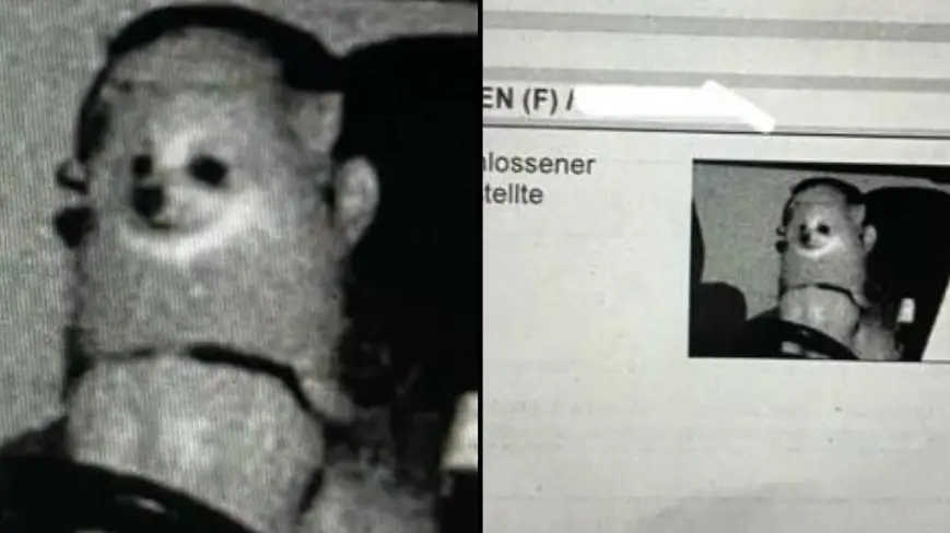 Twitter/@Armendaus03