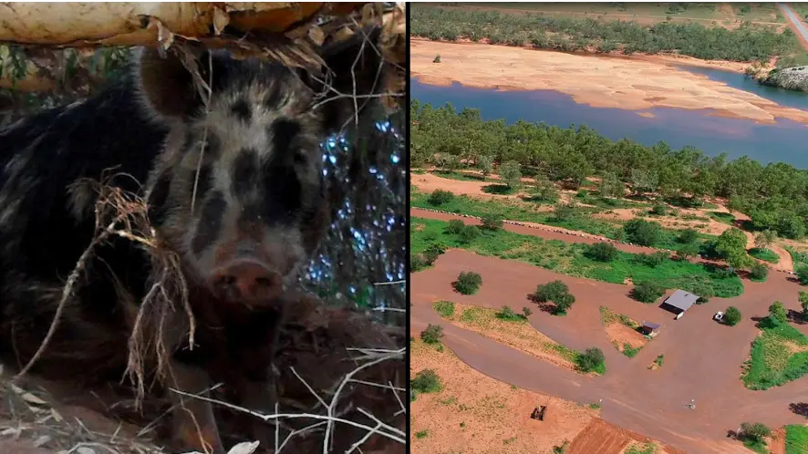 Main Roads Pilbara. Facebook/Main Roads Pilbara