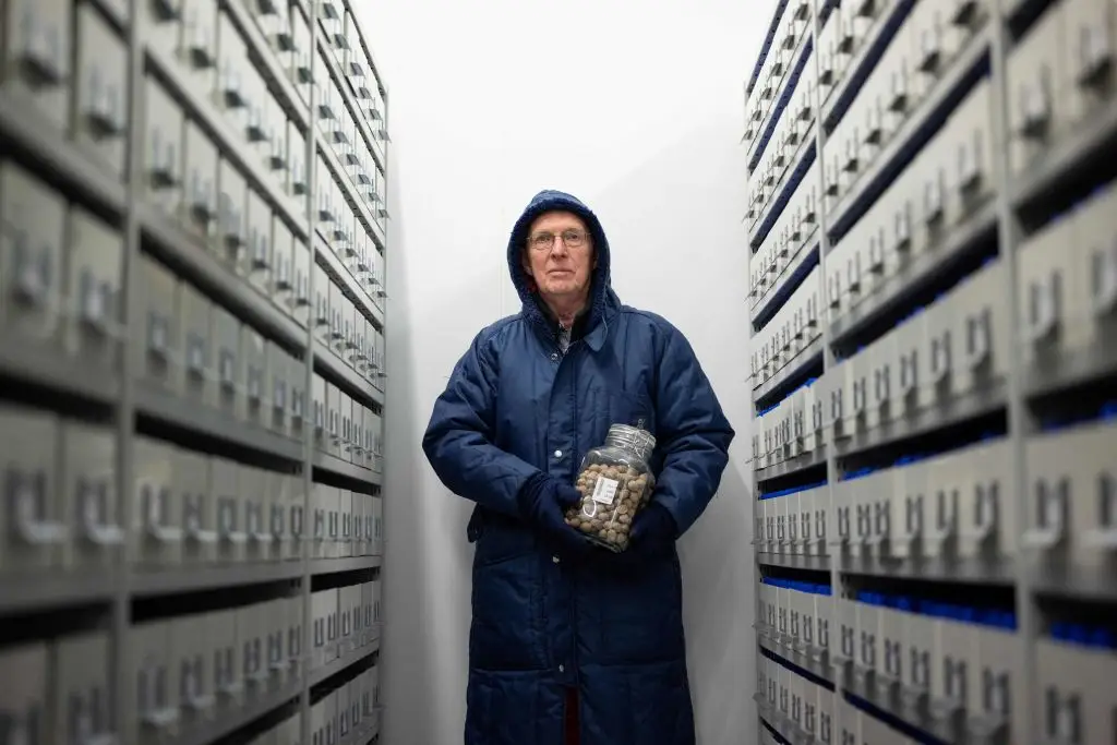 This place could survive a direct hit from an aircraft, and the seeds inside are kept at freezing temperatures (BEN STANSALL/AFP via Getty Images)