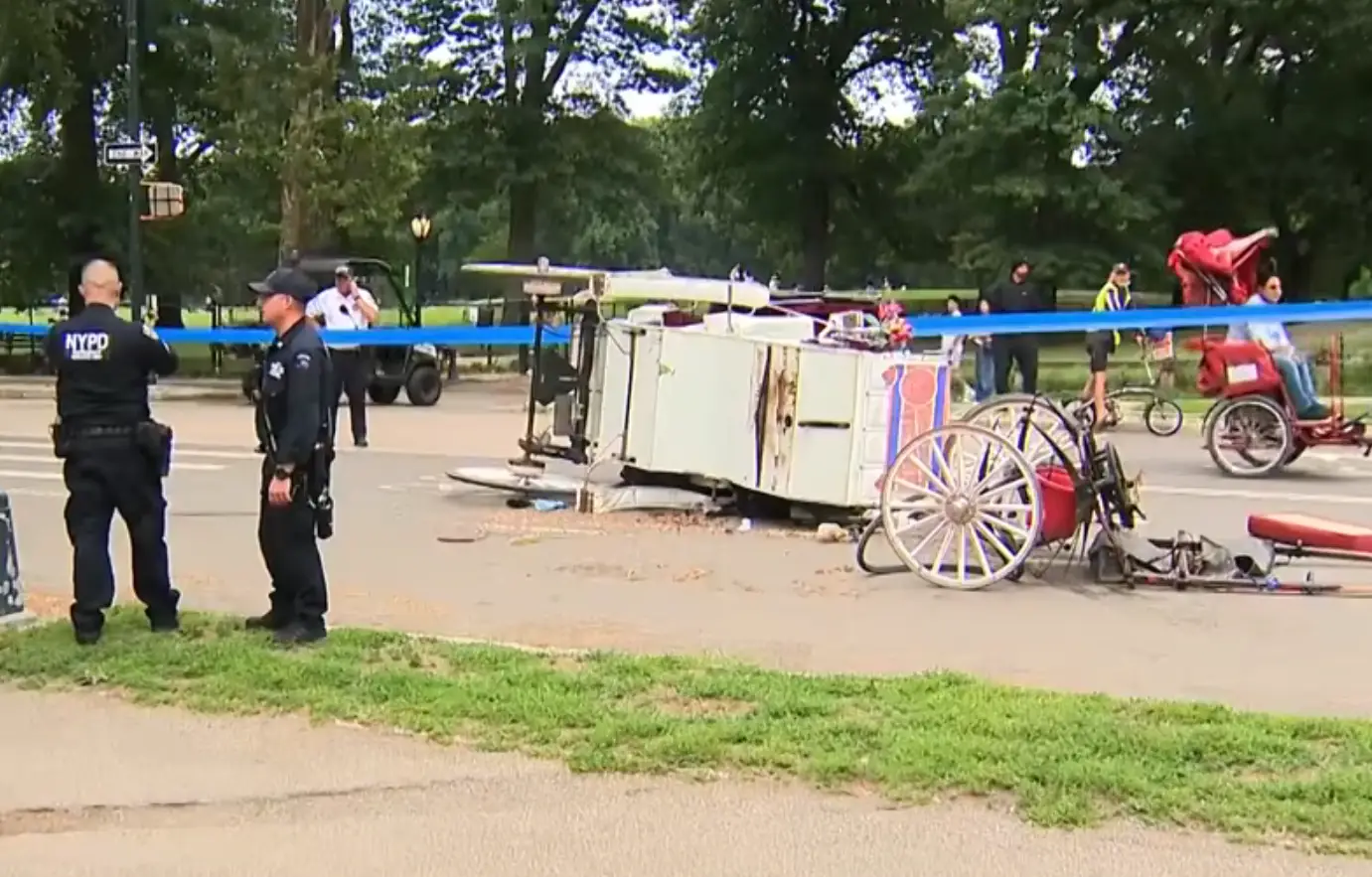 The carriage ended up being destroyed in a crash (YouTube/PIX11 News)