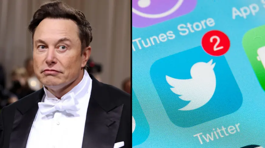 Twitter Stakeholders Sue Elon Musk And Allege He Caused The Company's Stock To Plummet