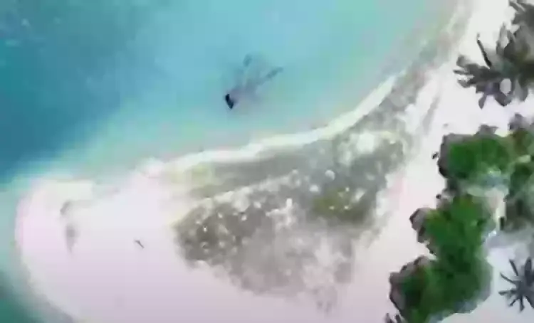 Satellite images from 2015 show something just off the coast of the island, could it be the plane? (Archaeological Legacy Institute/Today)