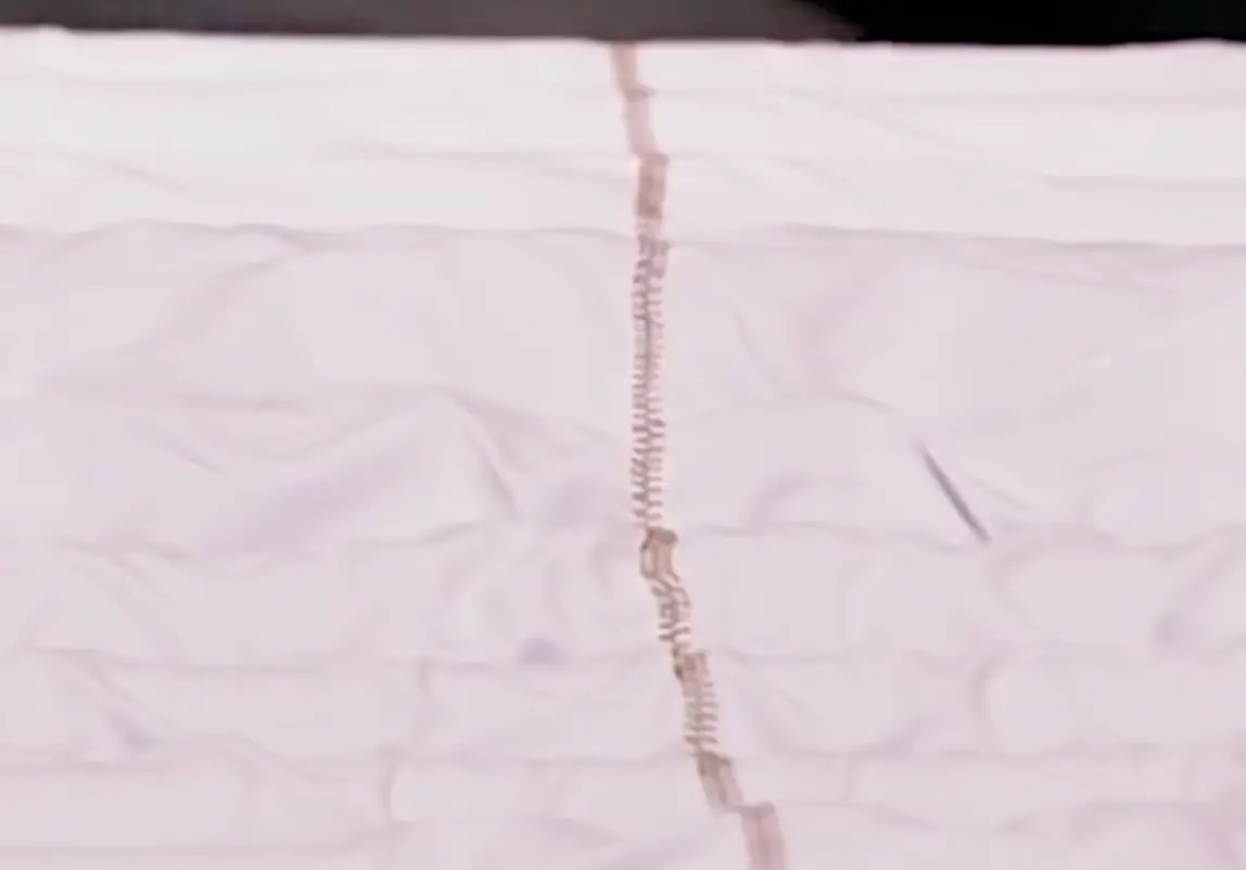 Smith and Adam's creation? A 'Lay Line sheet'.