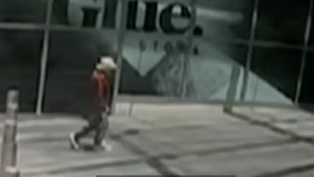 Staff recalled seeing Mr Gore wandering around the mall 'looking confused' (9 News)