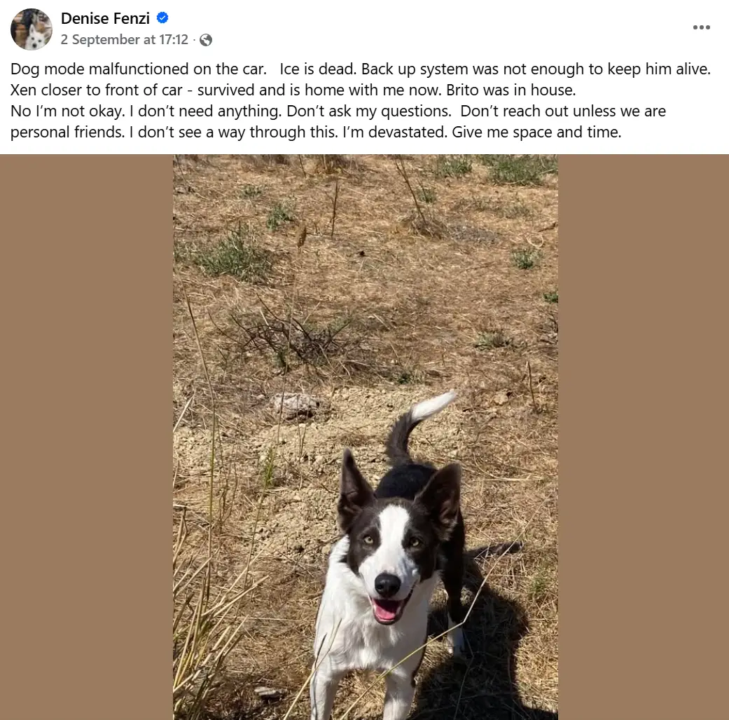 She said the 'Dog' mode on her car malfunctioned (Facebook)