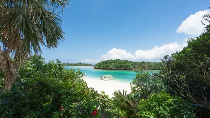 Getty Images/Sam Spicer