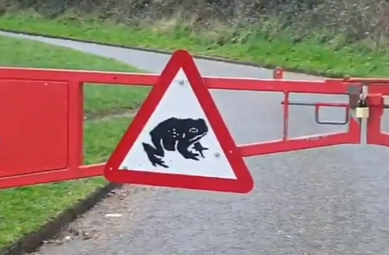 Does this mean that you have to be a frog to use this road? (X/@edinspotlight)