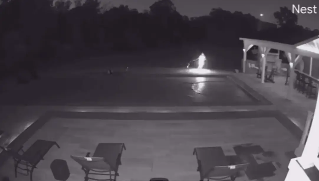 The dog owner dashed back indoors after hearing the chilling sound.