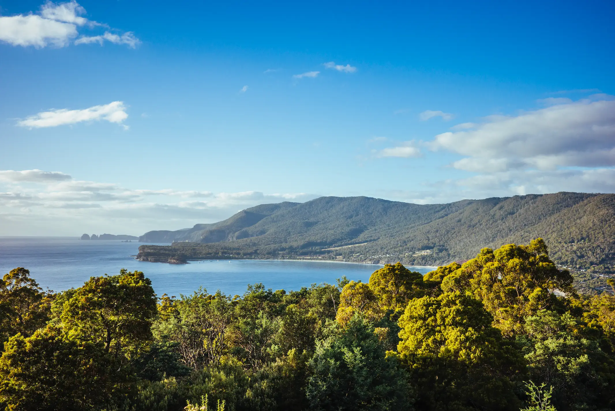 Australia came out on top (Getty stock image)