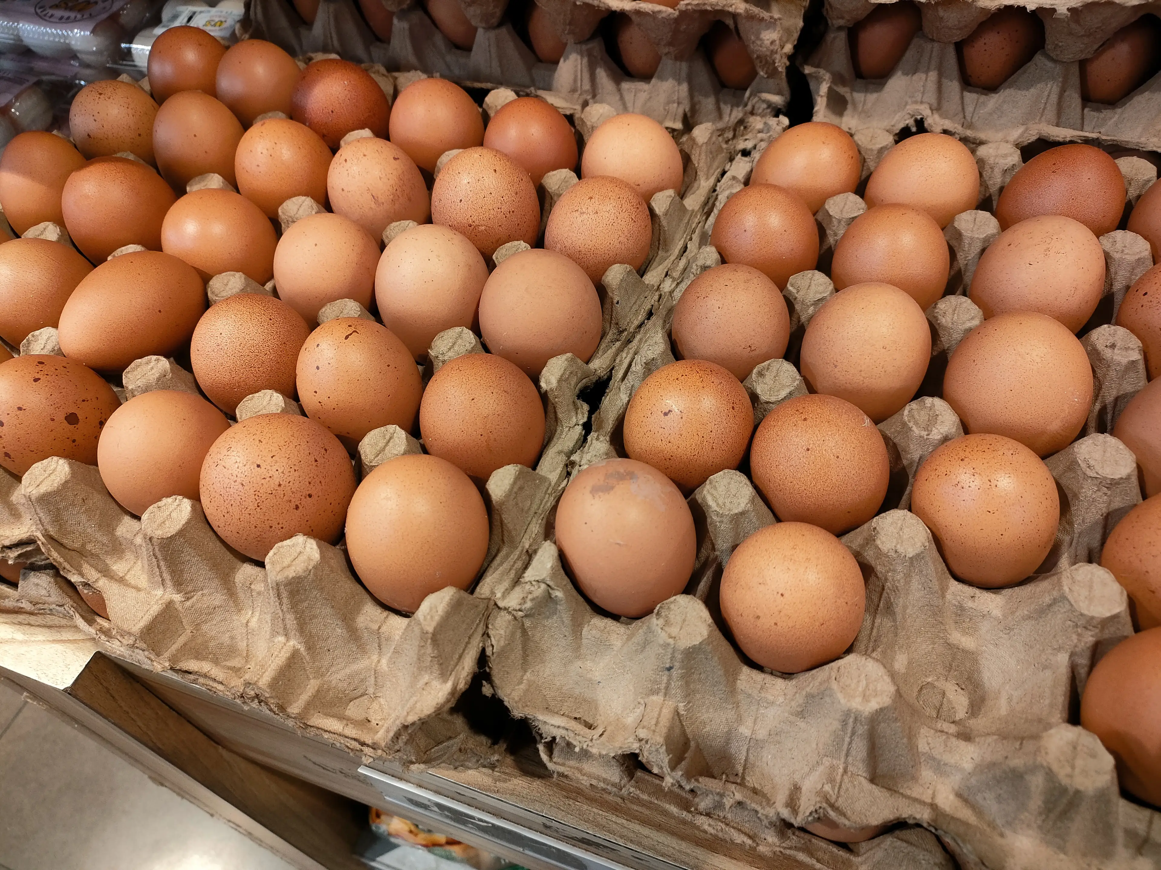 But then if you need a chicken to lay an egg, where did the first chicken come from if not from the egg? (Getty Stock Photo)
