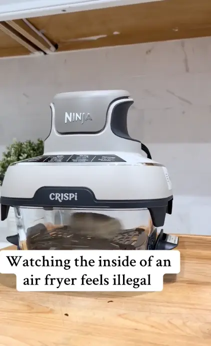 Ali tests out the Ninja glass air fryer (TikTok/@aligroholski)