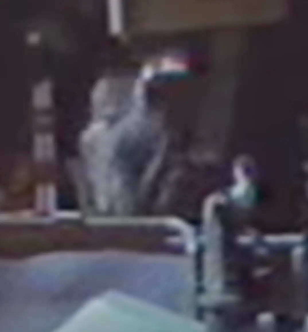 Duke almost died after falling over.