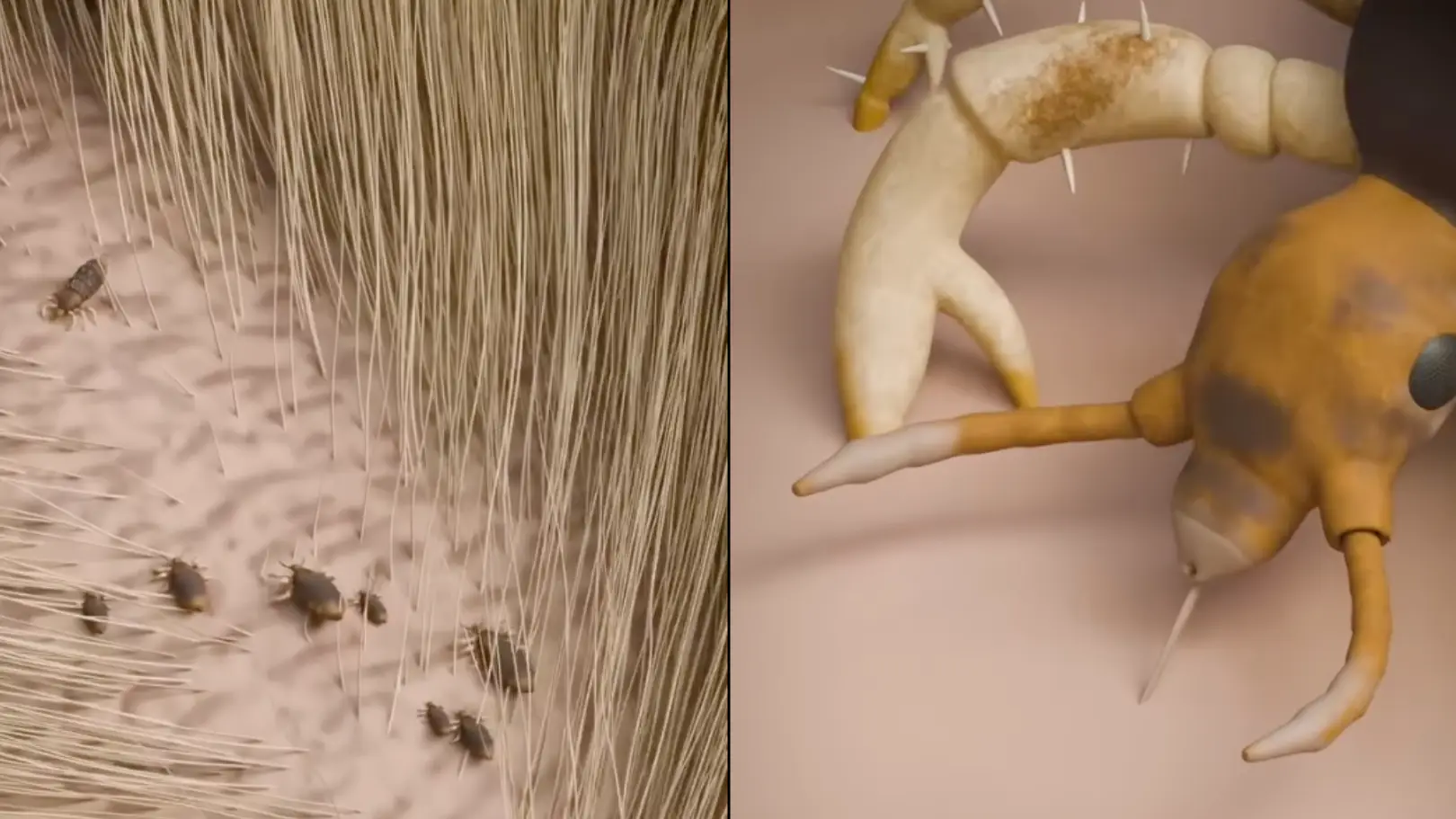 Instagram/zackdfilms  