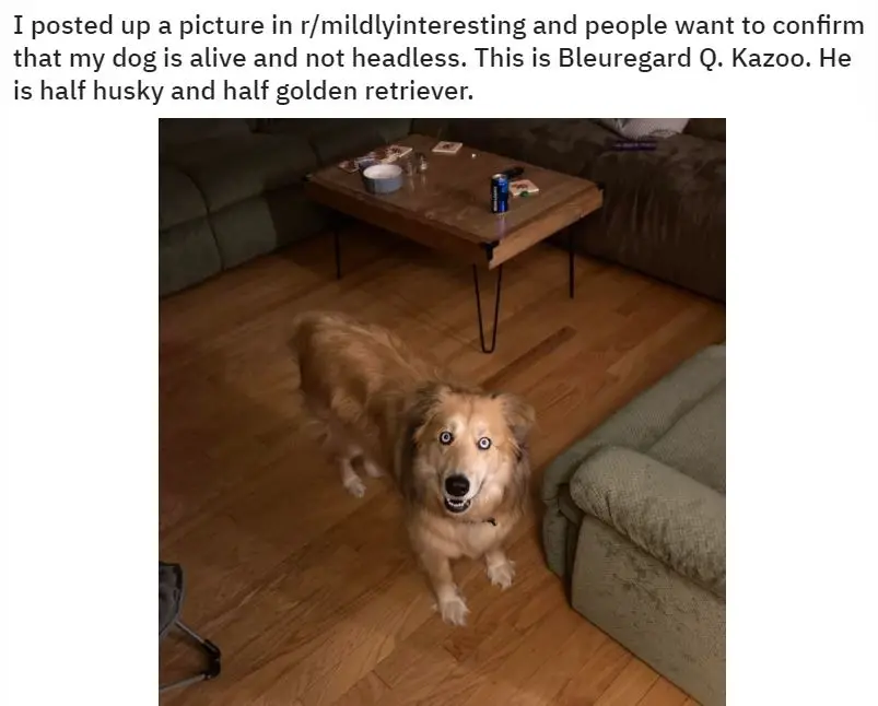 Bleuregard Q. Kazoo.