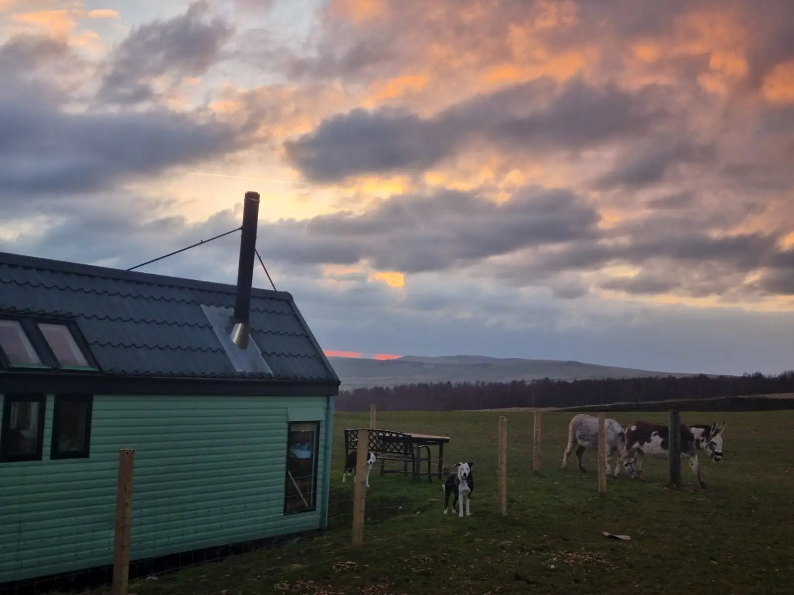 The couple say moving off-grid made their relationship stronger (SWNS)