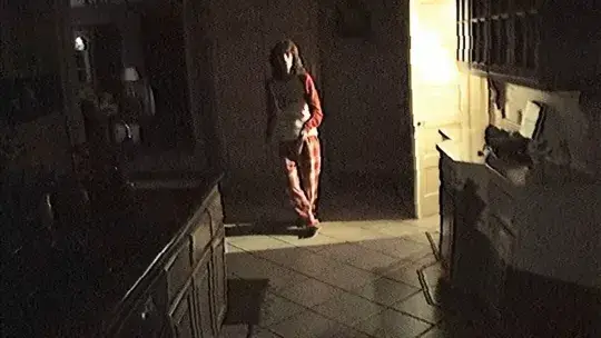 The Poughkeepsie Tapes is a 2007 found-footage thriller (Metro-Goldwyn-Mayer)