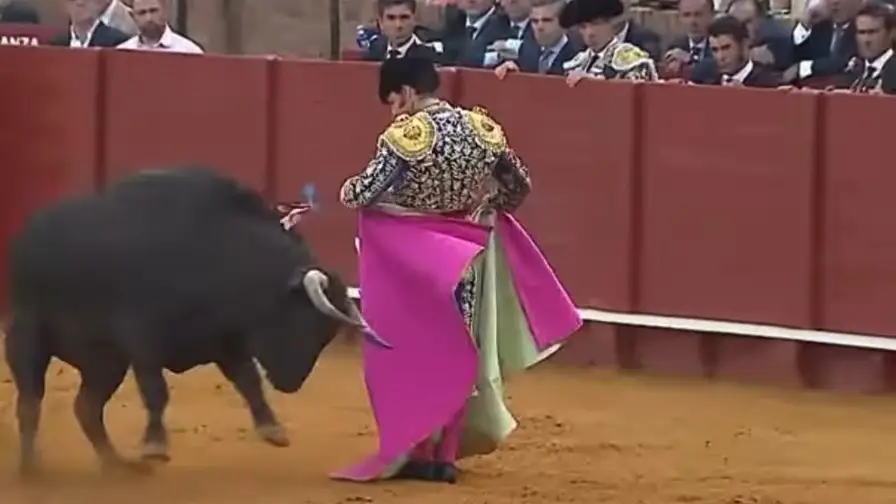 Instagram/@legadodeltoro