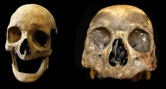 Scientists called it a 'groundbreaking study' (University of Leicester)