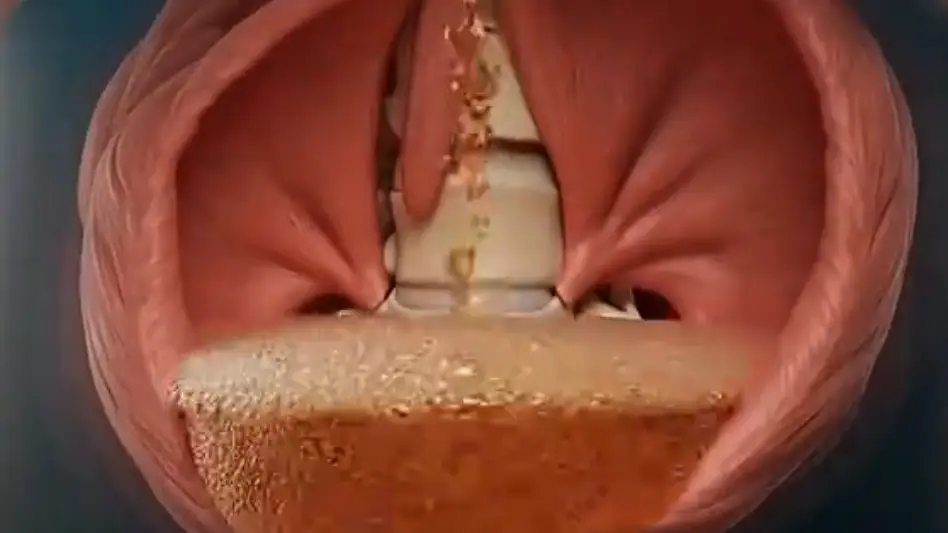 @‌dr.boogie/TikTok